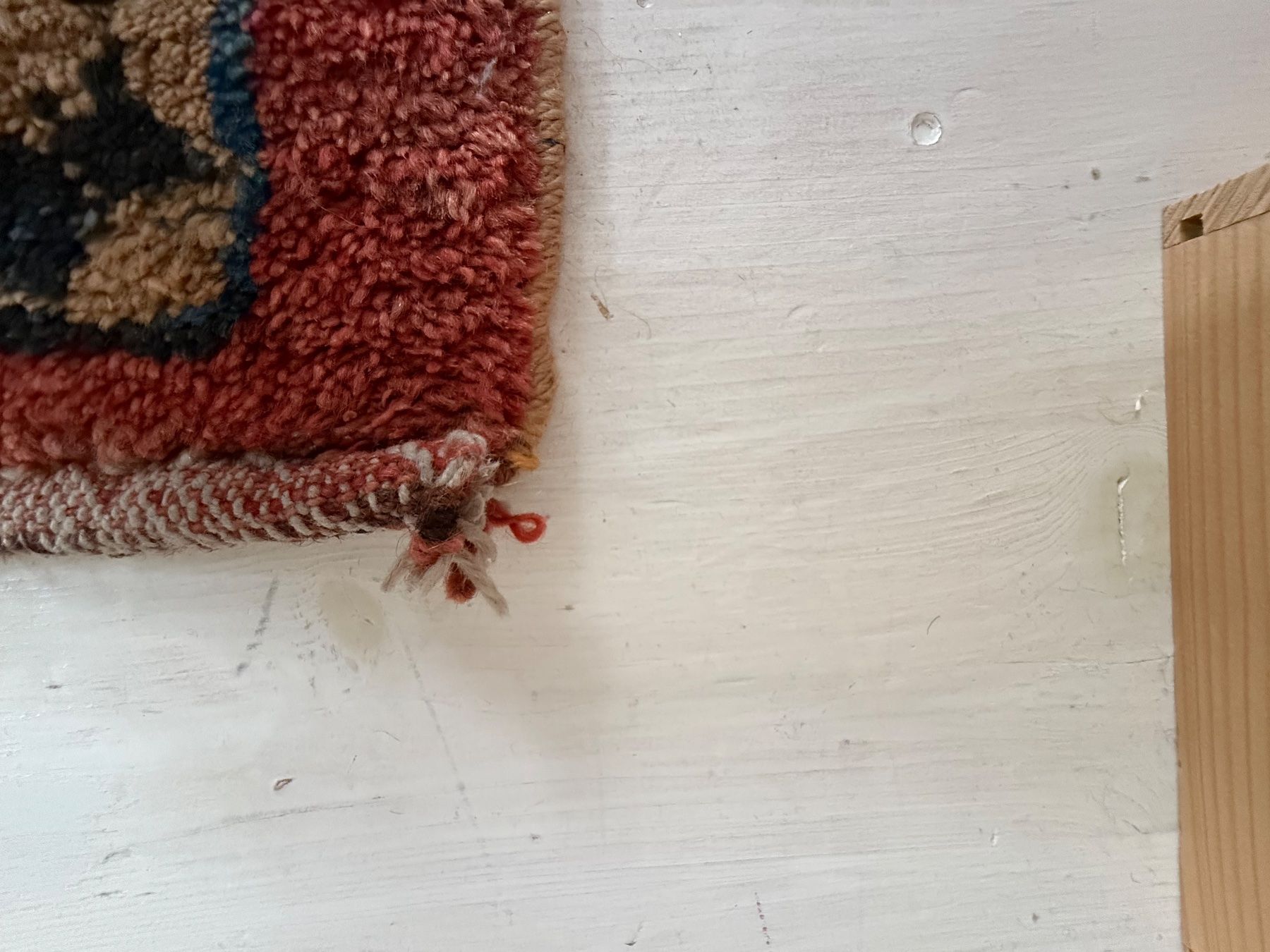 Gabbeh Tapis: Wunderschöner Gabbeh – D'occasion à Biel/Bienne par rosaalba 1