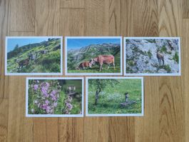 Postkarten 5 St.
