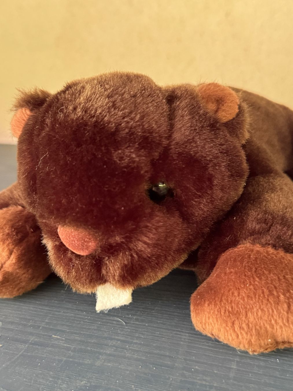 Spielzeuge: Peluche castor marron – Neu (gemäss Beschreibung) aus Jussy von ali_6d7d 1