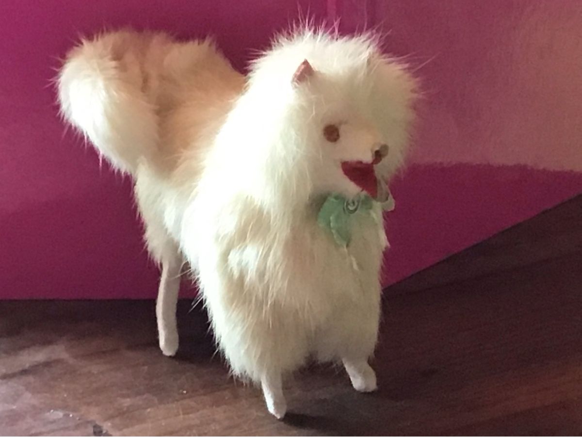 Giocattoli: Alter Echtfell Puppen Hund – Usato da St. Gallen venduto da Goldlilly