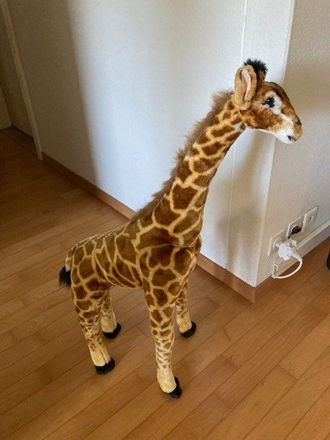 Giocattoli: Plüsch Giraffe – Usato da Benglen venduto da Disney5 1