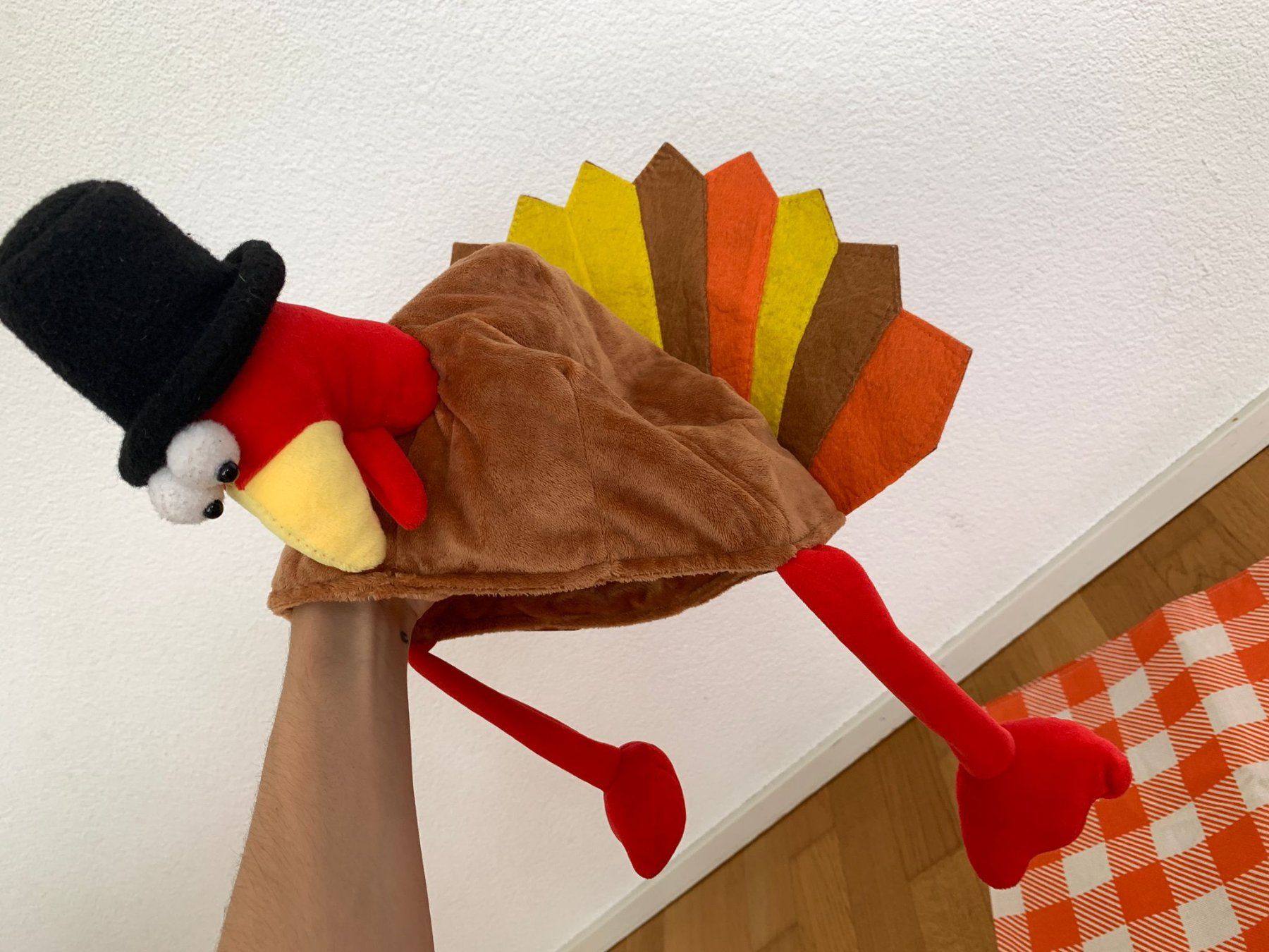 Tutte le decorazioni: Thanksgiving Hut + Tischläufer – Usato da Hochfelden venduto da rub_rnw5 2