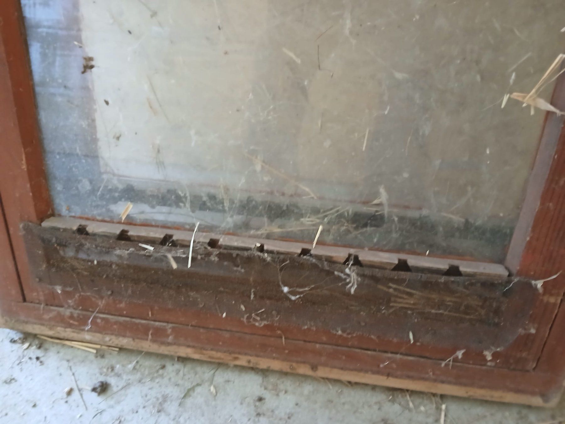 Bienenhäuser: Bienenhaus Drehfenster – Gebraucht aus Gampelen von Quinze5 3