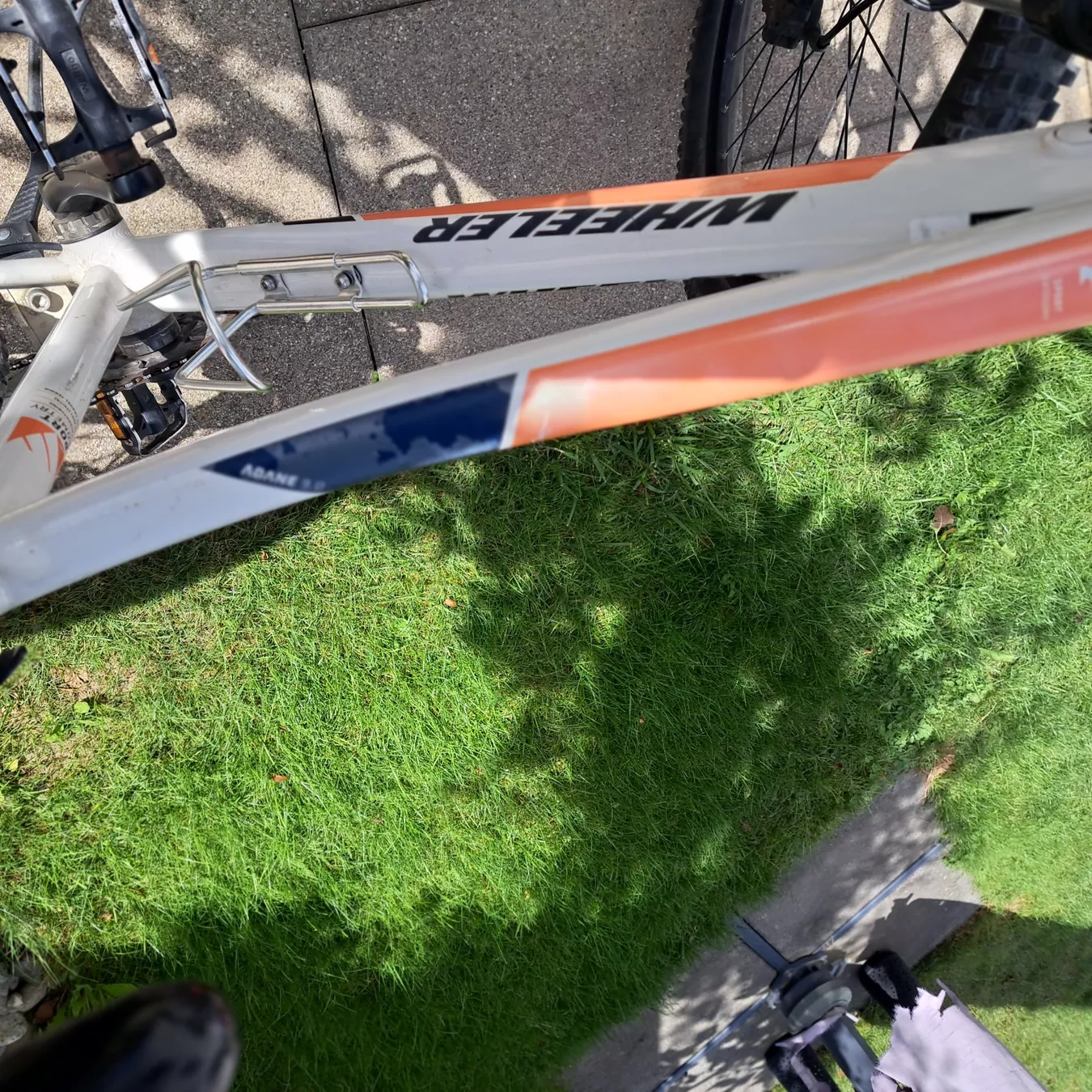Wheeler Biciclette: Velo – Usato da Unterentfelden venduto da Miro-Lou 7