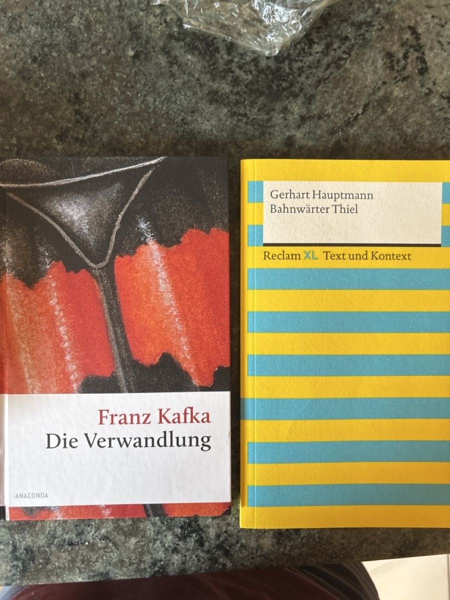 Livres: Zwei Schulliteraturbücher – Neuf (Voir description) à Erschmatt par Gragetsch
