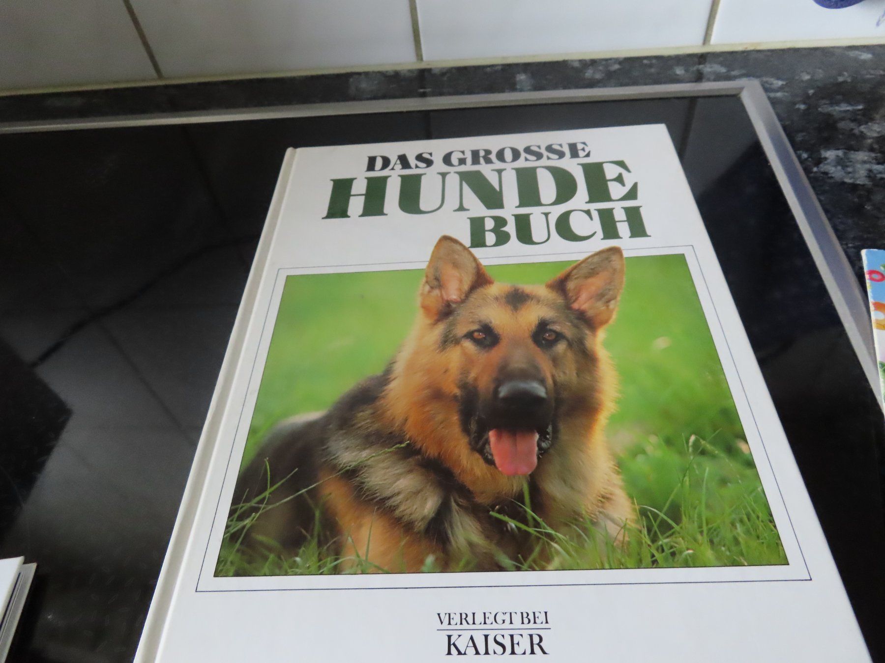 Libri: Hunde Buch – Usato da Rüfenacht BE venduto da tial70