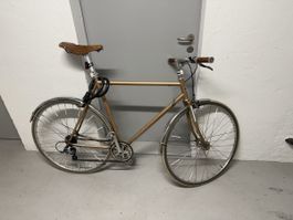 Weisswangenkauz Fahrrad Herren Kupfer