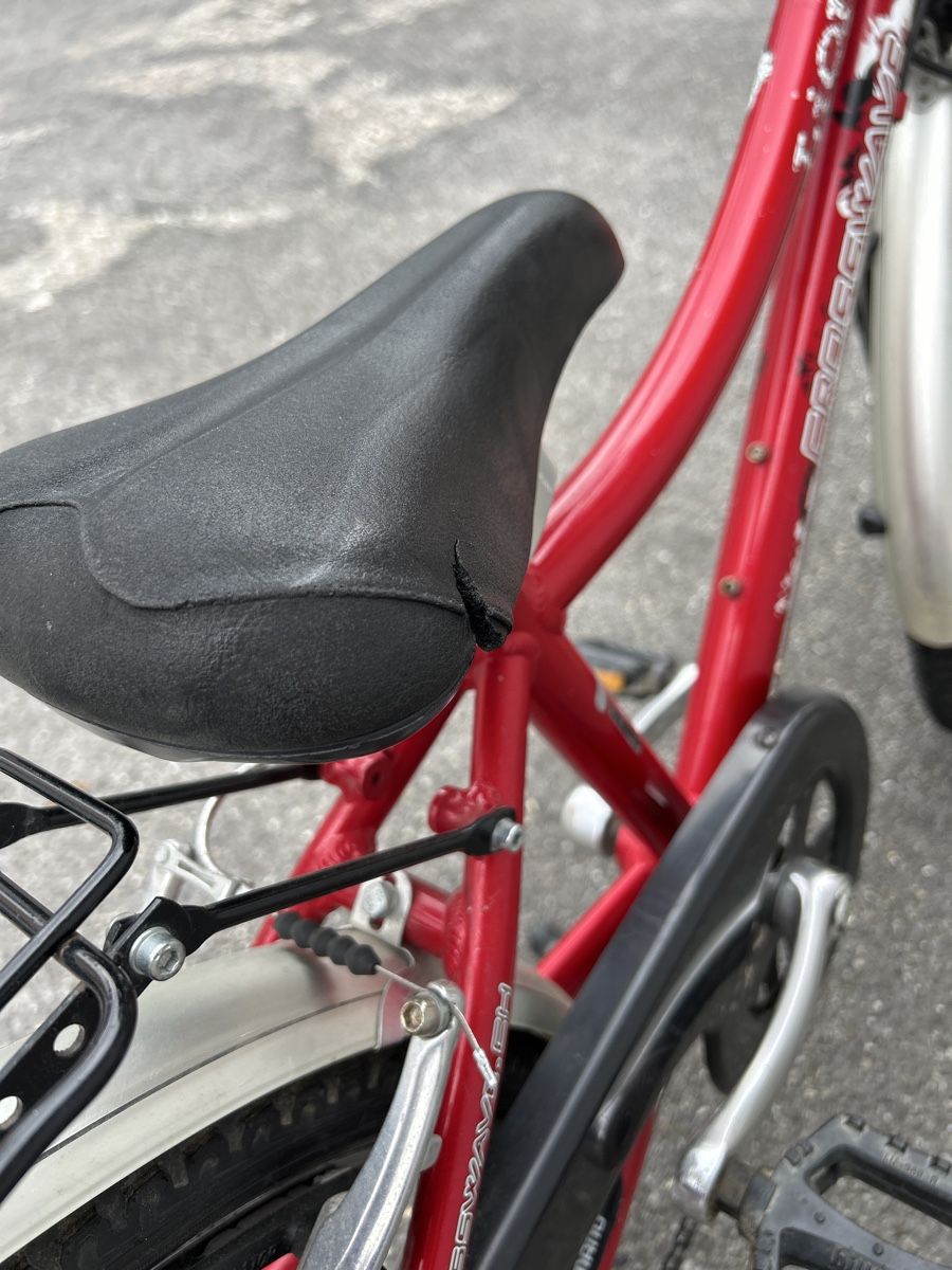 Biciclette: Velo enfant Crosswave 20 pouces – Usato da Vevey venduto da Jaycewitwicky 2