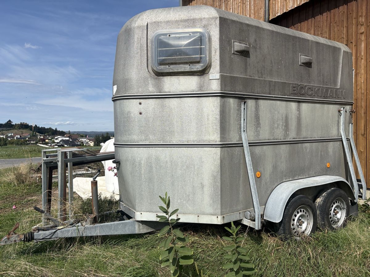 Anhänger: Perdetransporter – Gebraucht aus Niederwil AG von Stock1