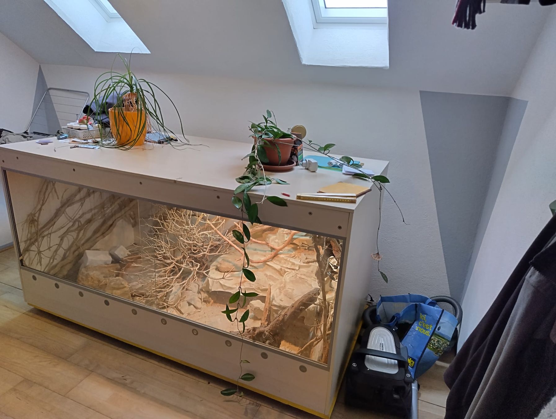 Terrario: Terrarium – Usato da wegenstetten venduto da Germaine2 1