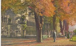 Zürich,Platzpromenade,Meisser