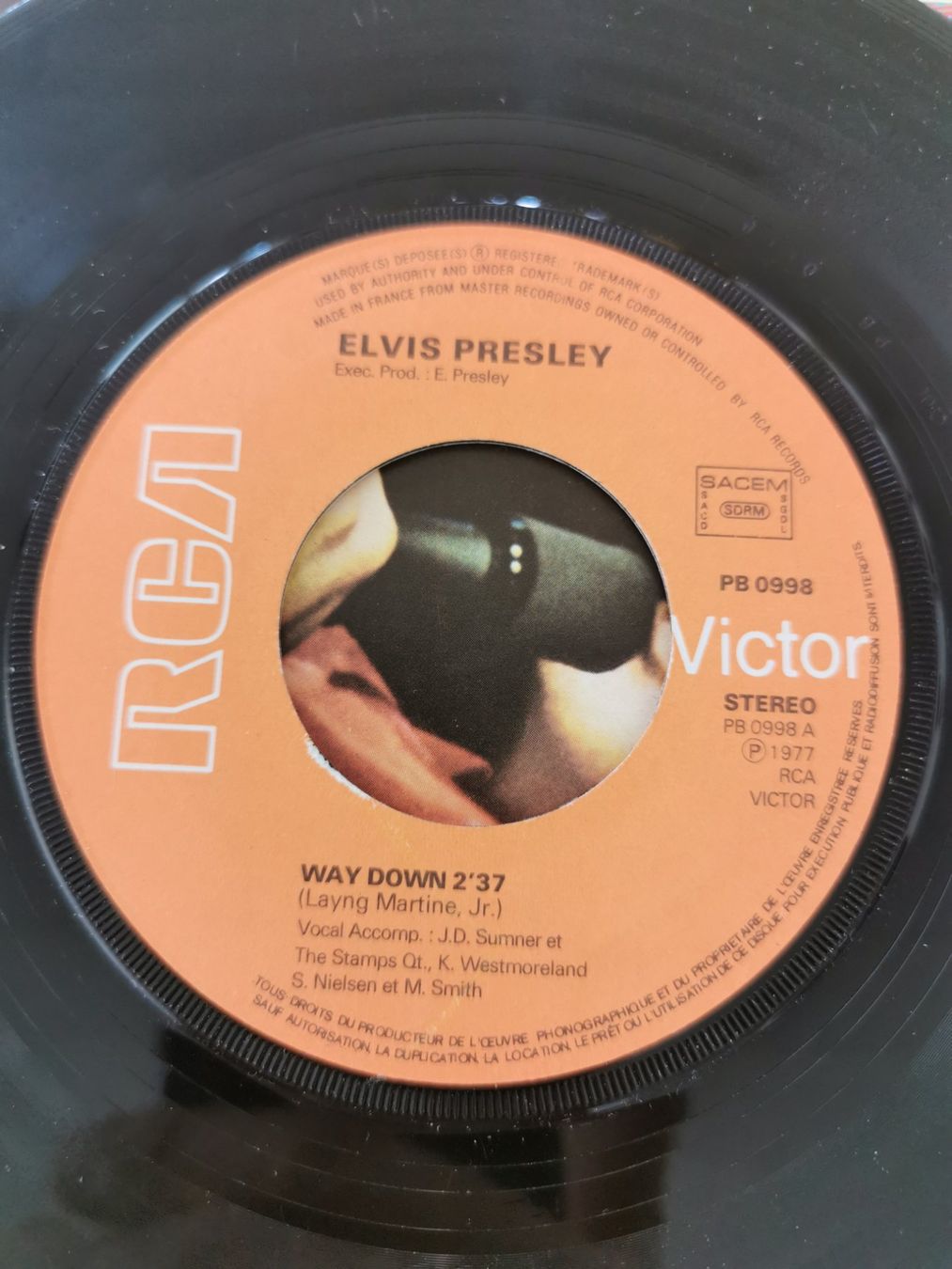 Dischi in vinile: Elvis Presley - Way Down / Pledging My Love – Usato da St.Gallen venduto da Tamal0204 2