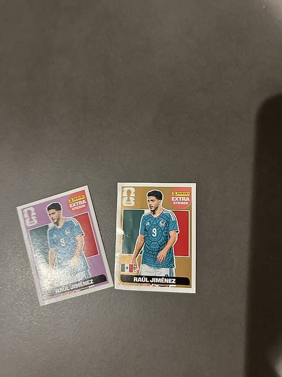 Panini Carte collezionabili: Panini Stickers (in Doppelt) Raul – Usato da Zürich venduto da Yvo619