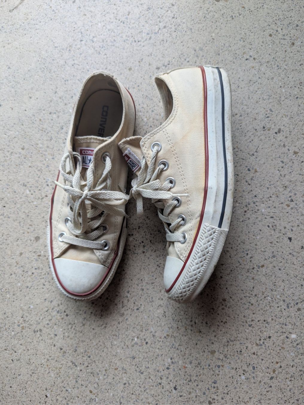 Converse Scarpe da donna: Converde All Star – Usato da Schlieren venduto da larapb 1