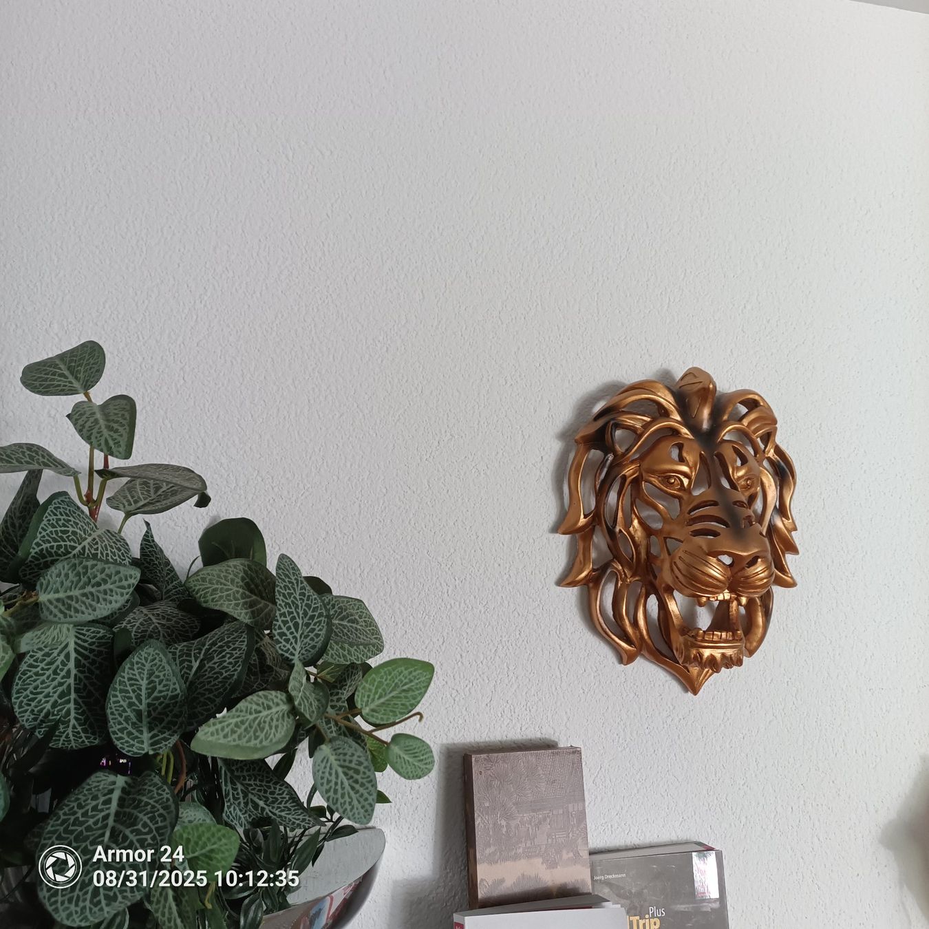 Tutte le decorazioni: Löwenkopf Wand Deko – Usato da Emmen venduto da Mocck 1
