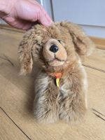 Steiff Hündchen, kuschelig, fast neu, ein tolles Geschenk!