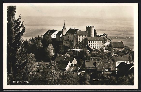 Cartoline postali: AK Regensberg, Blick auf das Schloss – Usato da Berlin venduto da bartko-reher