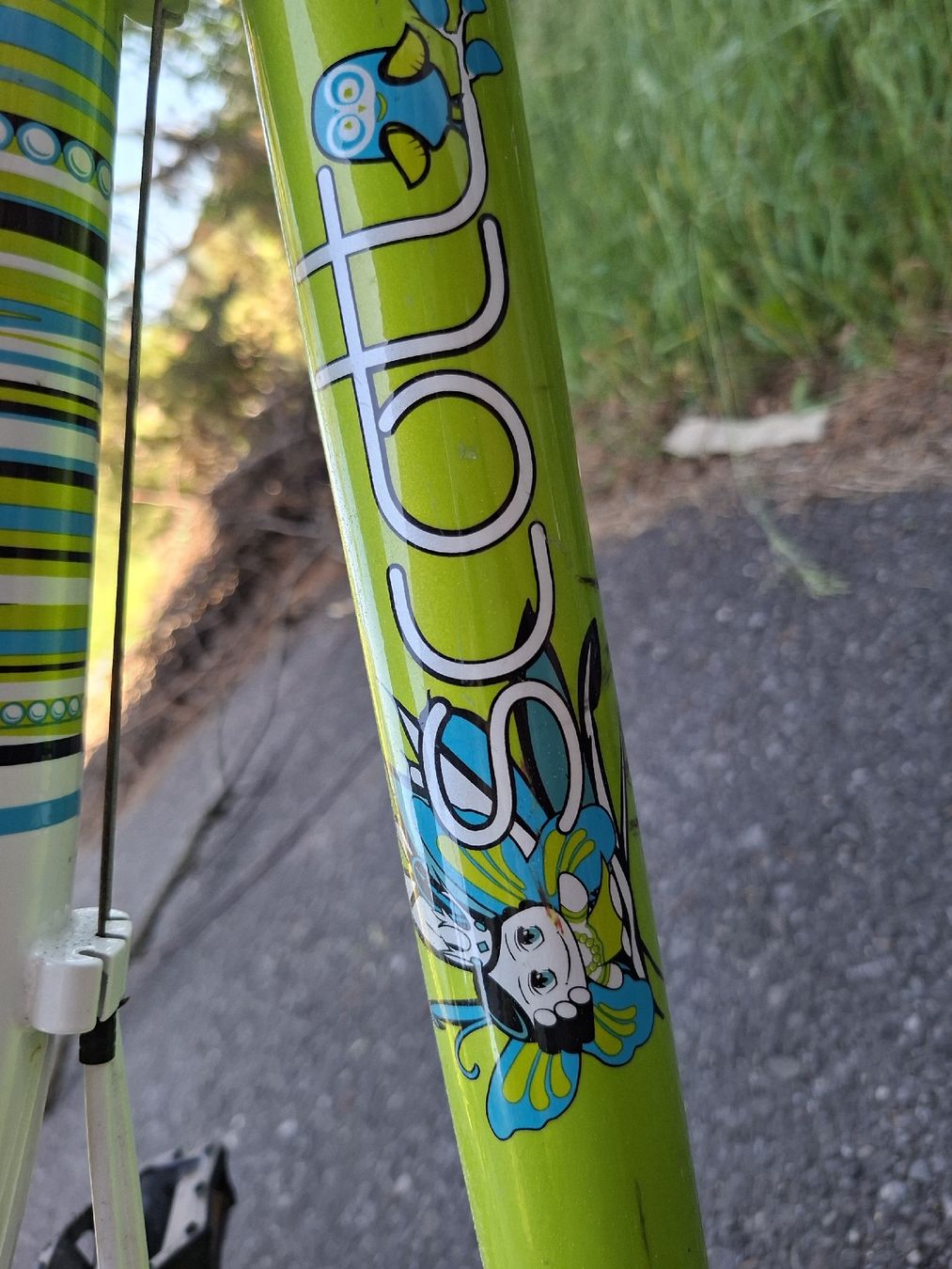 Scott Biciclette: Kindervelo 20" Scott – Usato da Diemtigen venduto da karix 2