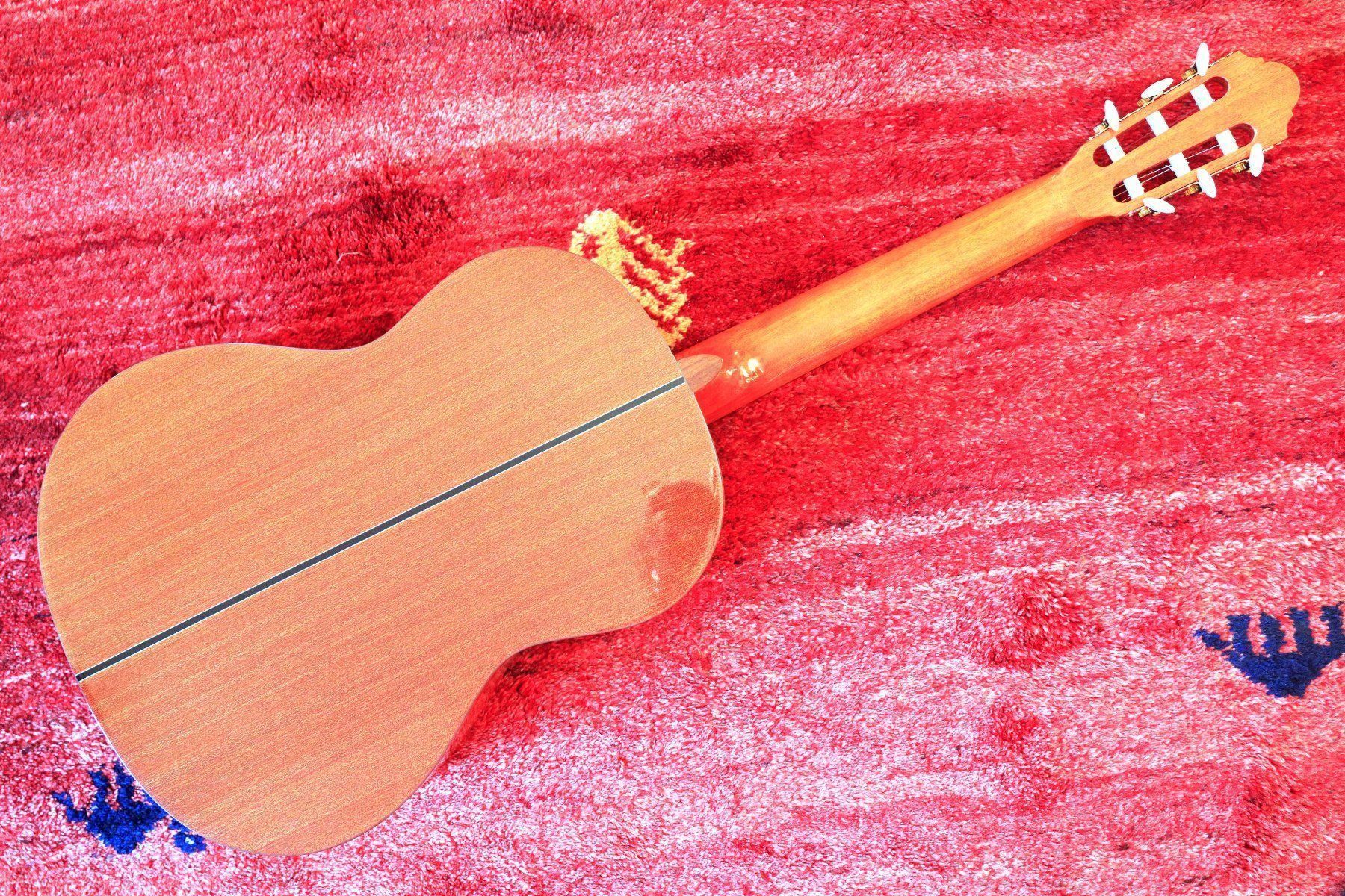 Strumenti ad arco e pizzico: Guitare classique Walden Concorda new – Nuovo e nell'imballaggio originale da Goumoens-la-Ville venduto da Vitamine 4