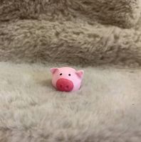 Glückschweinchen