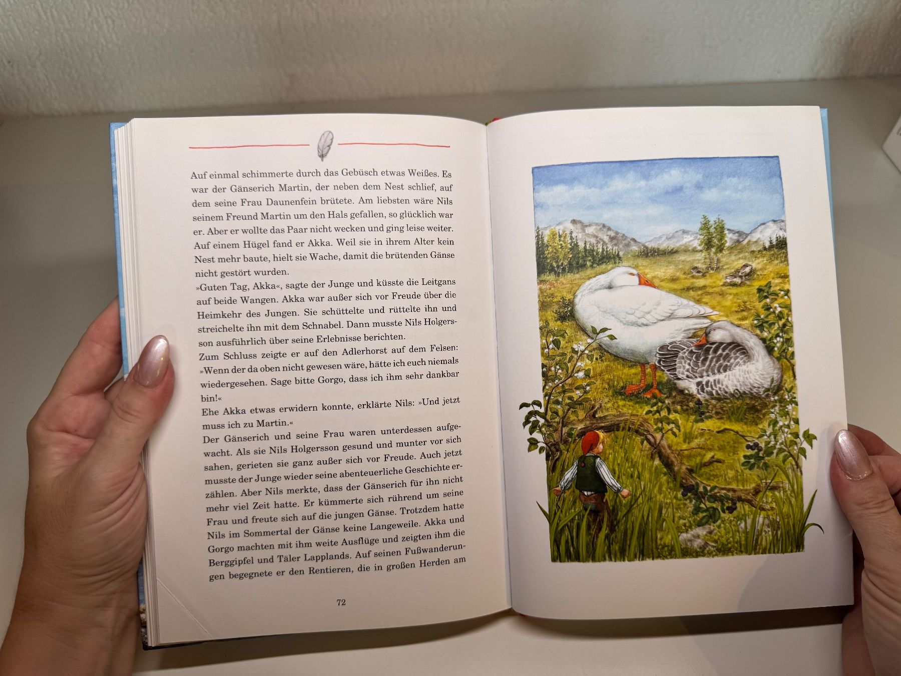 Libri: BUCH: Selma Lagerlöf, Nils Holgerssons wunderbare Reise – Usato da Grosswangen venduto da Kleine.Knoepfe 8
