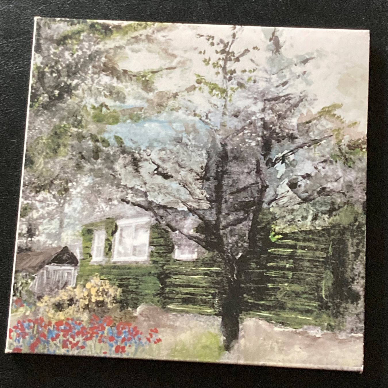 CD: Trembling Bells - Carbeth | Folk Rock – Usato da Bern venduto da Ntsamina