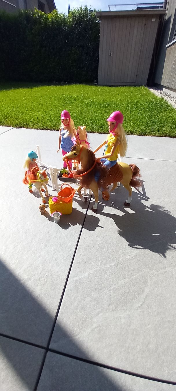 Giocattoli: Barbie Pferde sett – Usato da Bünzen venduto da kalink 1