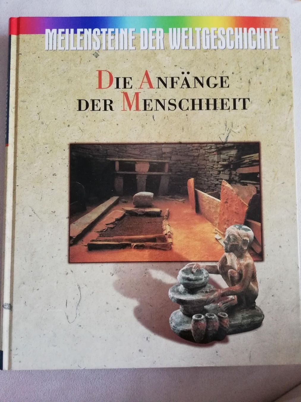 Bücher: Die Anfänge der Menschheit – Gebraucht aus Büttikon AG von Amineah