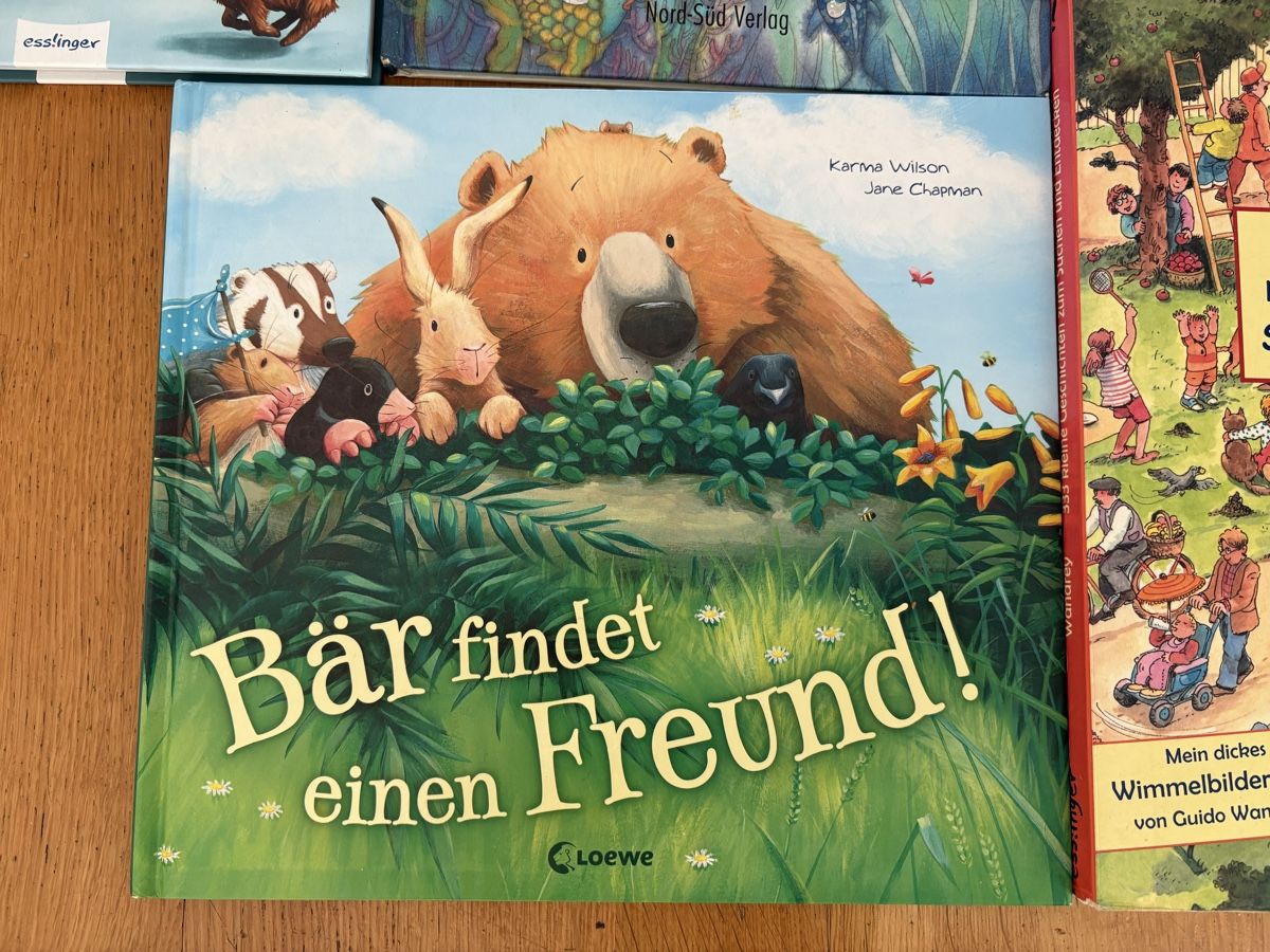 Libri: KINDERbilderBÜCHER set – Usato da Herzogenbuchsee venduto da warrior77 2