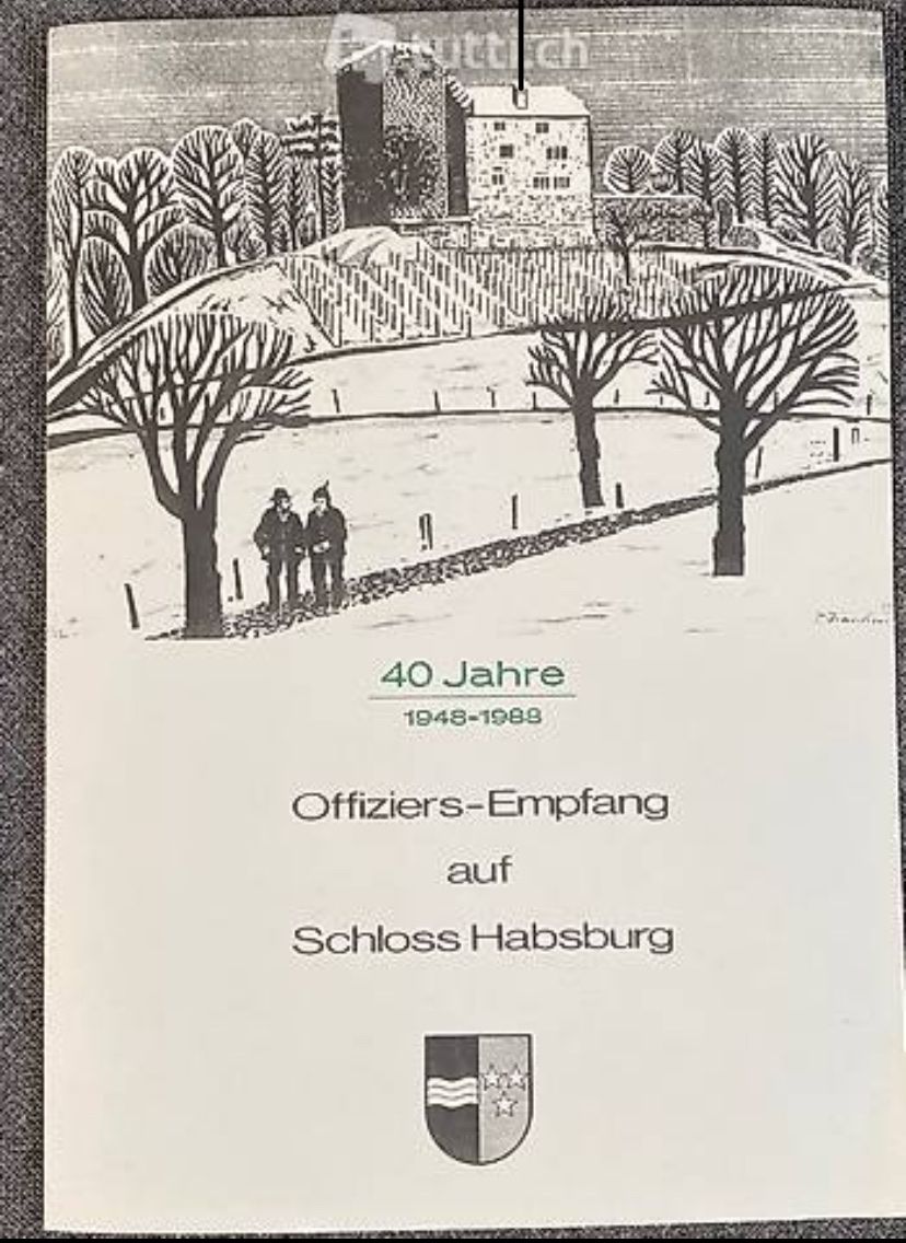 Xilografie: Holzschnitt Schloss Habsburg – Usato da Dallenwil venduto da ercrah 1