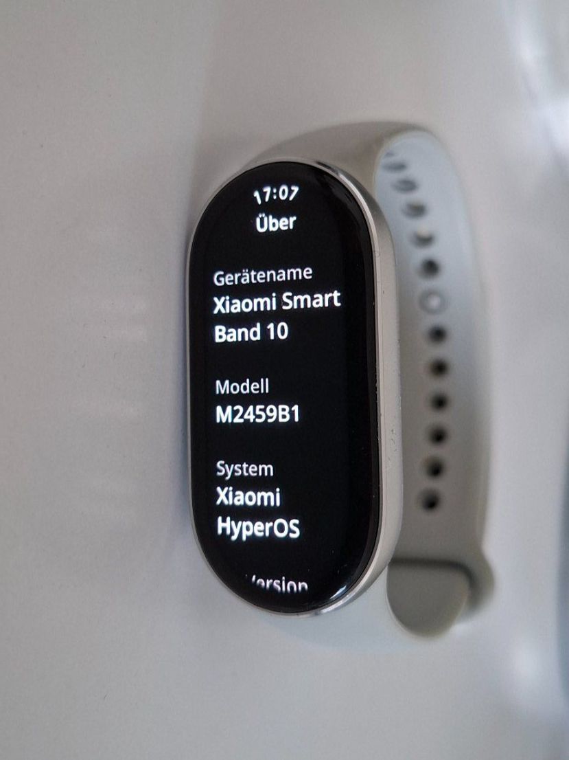 Xiaomi Smartwatch: Xiaomi Smart Band 10 Silber TopZustand – Gebraucht aus Bern von Wario 7