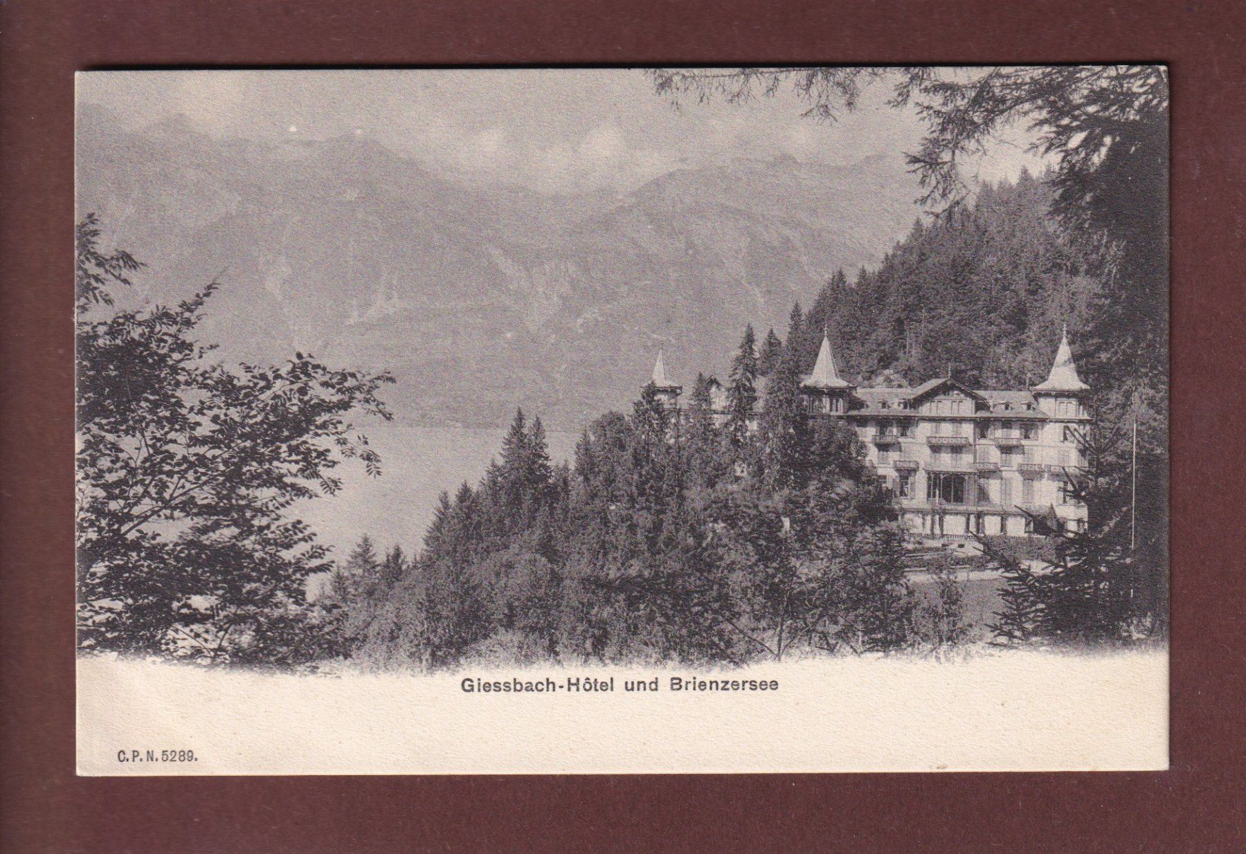 Cartes postales: GIESSBACH-HOTEL - CPN – D'occasion à Pully par nicecards-shop