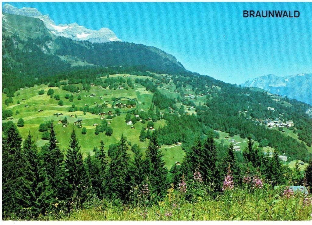 Cartes postales: Braunwald – D'occasion à Flims - Dorf par Stagediver