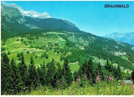 Braunwald
