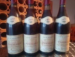 4 Fl. Pommard  AC, René Virely-Arcelain, Jg. 1977