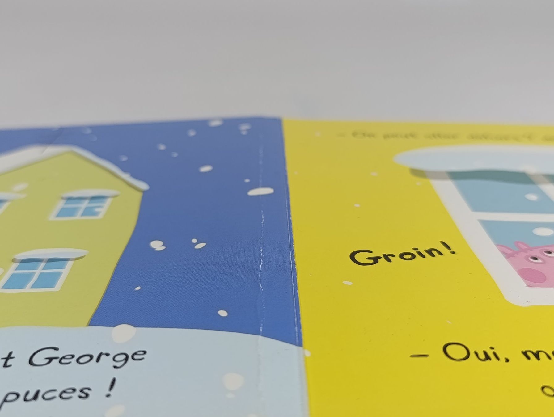 Libri: HACHETTE Deux livres Peppa Pig – Usato da Thielle venduto da Plusvalue_Neuchatel 4