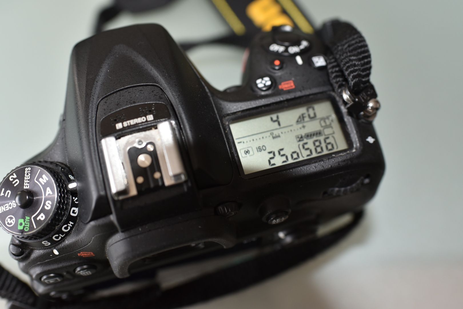Nikon Kamera: Boitier Nikon D7200 – Gebraucht aus Onex von cat_rq8g