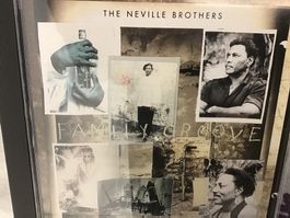 CD The Neville Brothers - Family Groove      ,