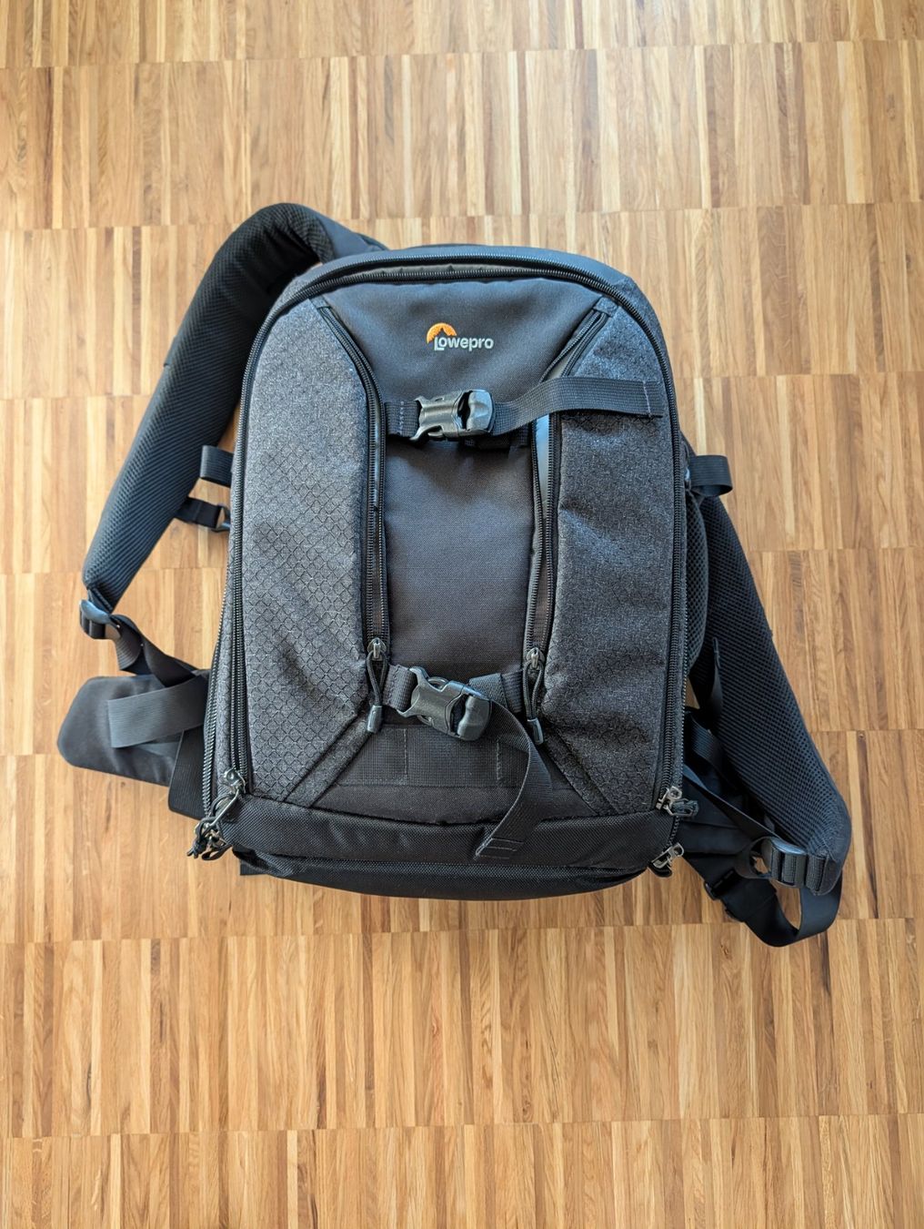 Lowepro Zaini: Lowepro Pro Runner BP 350 AW II – Nuovo (secondo la descrizione) da Sursee venduto da Mocca031 1