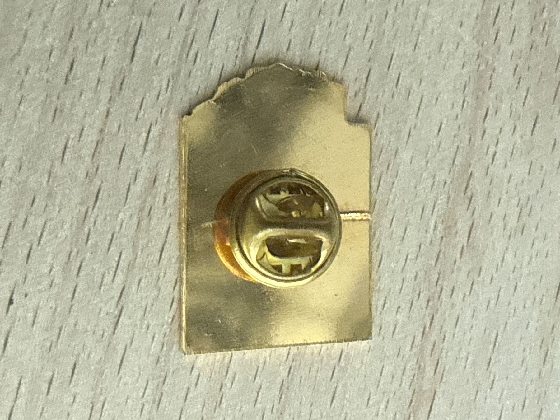 Placchette & Badge: Pin – Usato da Glattbrugg venduto da Schweigmatt 1