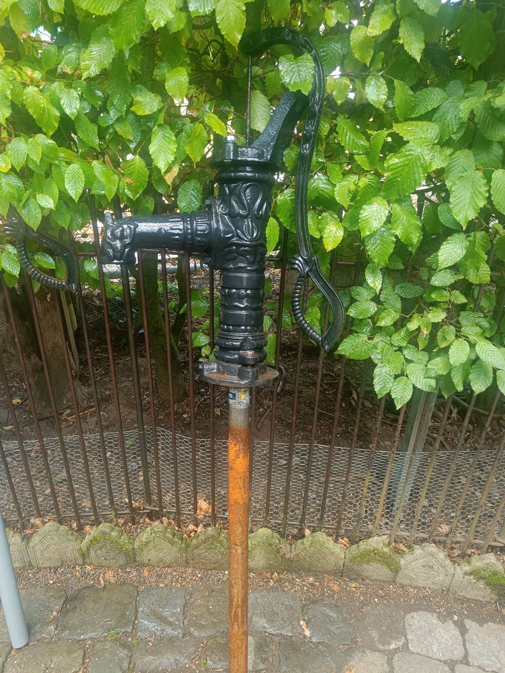 Pompes et pièces: Handschwengelpumpe – D'occasion à Frauenfeld par terra-sky