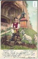 Appenzeller Tracht - Costume Appenzellois - Ziegen