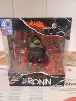 Teenage Mutant Ninja Turtles The Last Ronin