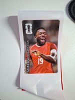 Alphonso Davies FIFA Coca-Cola Panini Sticker