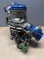 Iame Ok Senior Reedster V