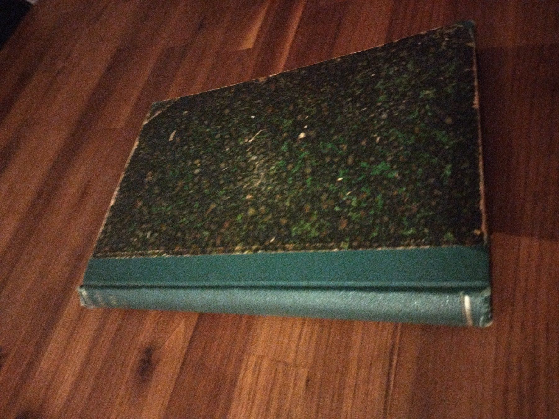 Libri: Kochbuch antik 1902 – Usato da Felben-Wellhausen venduto da bananajoe8474 1