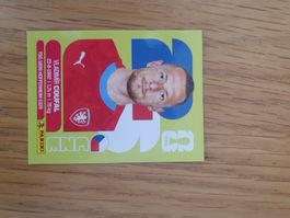 Panini CZE 5