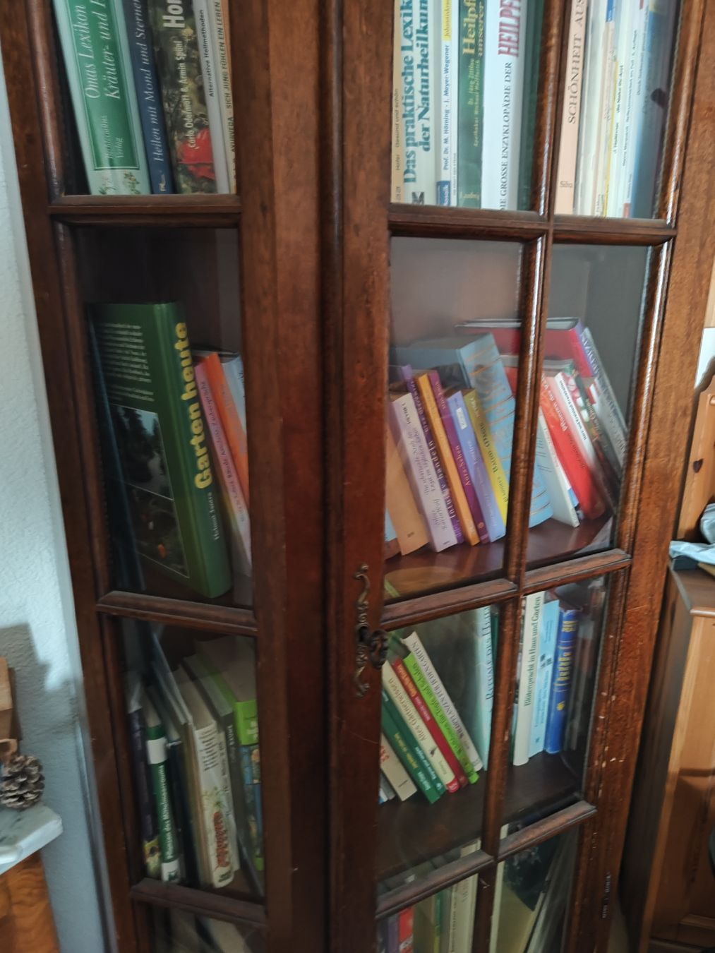 Vetrine: Vitrine Schrank  – Usato da Uznach venduto da Cindy100 1