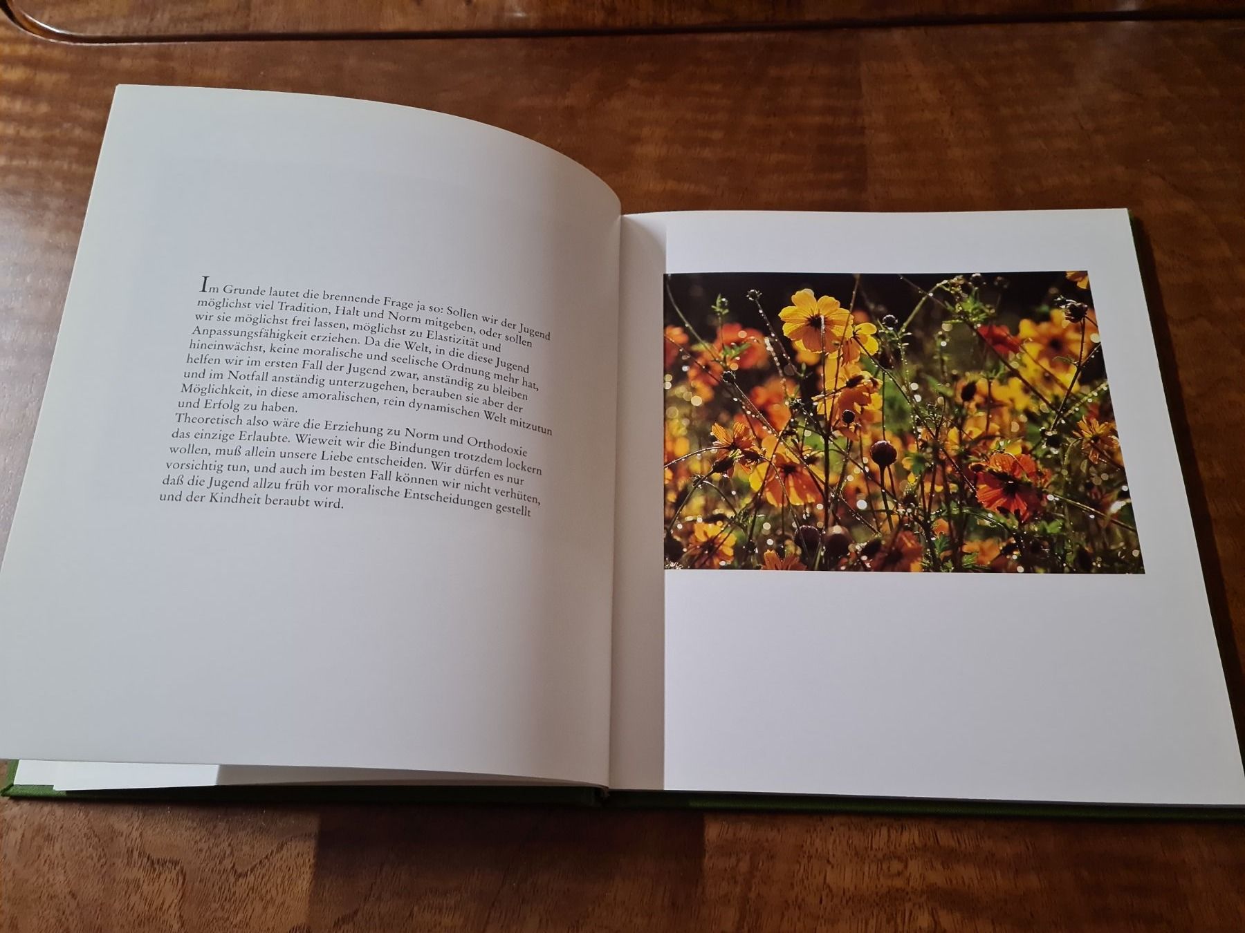 Libri: Zauber des Anfangs – Usato da Erstfeld venduto da Mario_boe0 1
