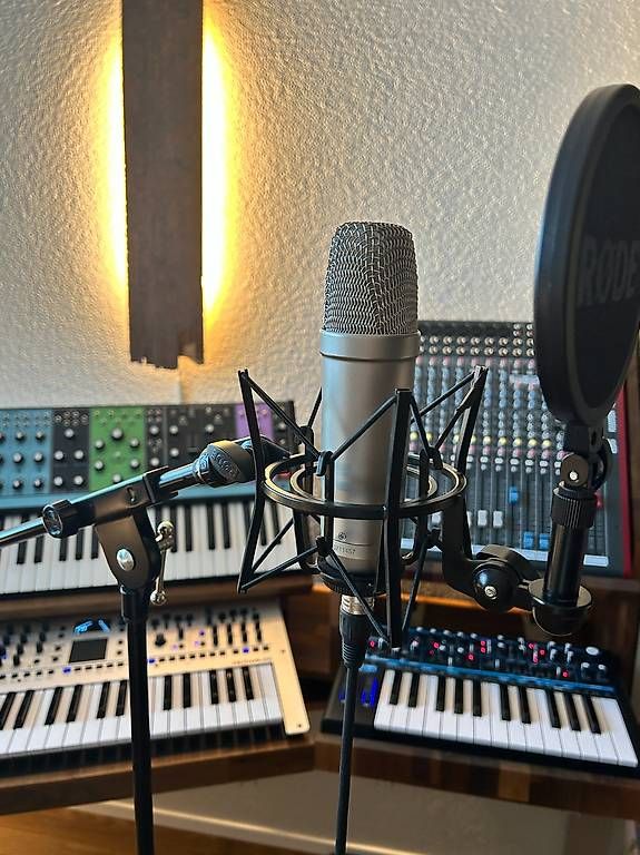 Microfoni: RØDE NT1-A inkl. Reflexionsfilter, Spinne & Popschutz – Usato da Seewen Sz venduto da car_95zr 1